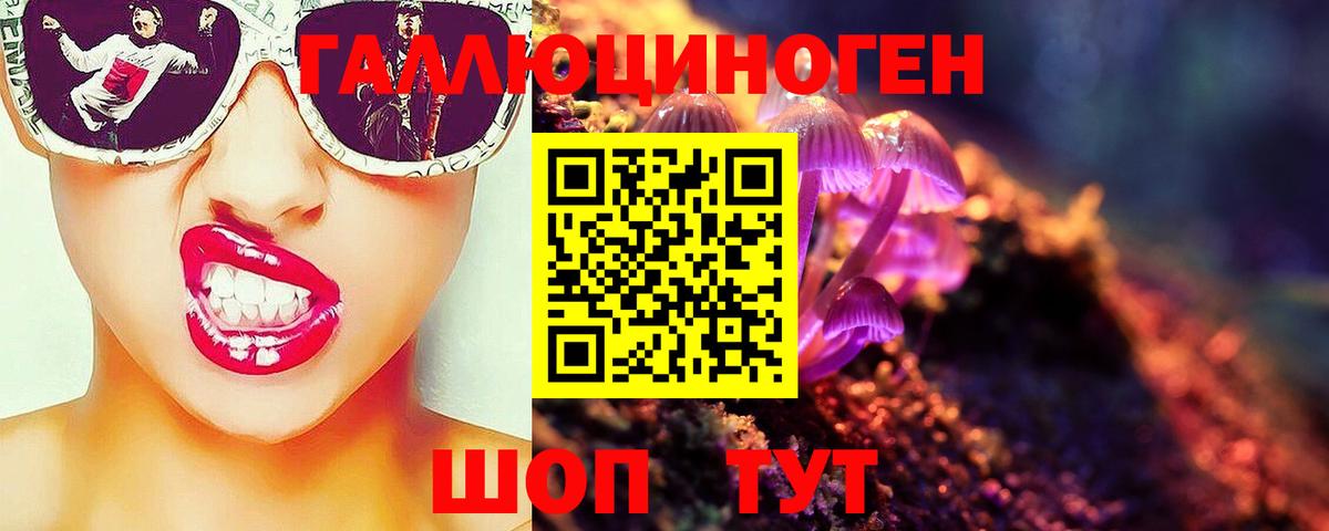 купить закладку  Галлюциногенные грибы Psilocybe  Вход с VPN  Сосновый Бор 